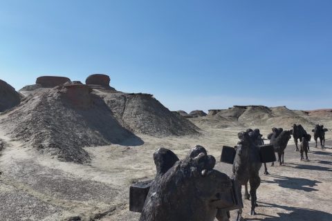 諮詢新疆旅行社時，費用怎麼諮詢，包車費用要說明車型和行程範圍