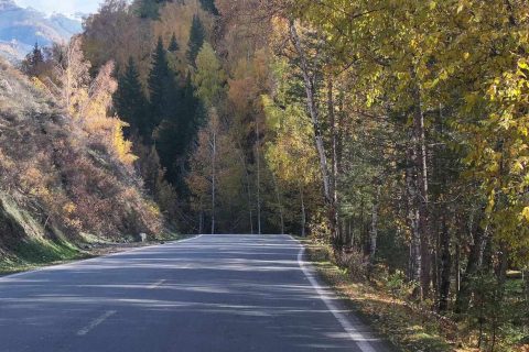 包車拼車和定製服務要按人數選擇，新疆旅行社路線變化怎麼確認