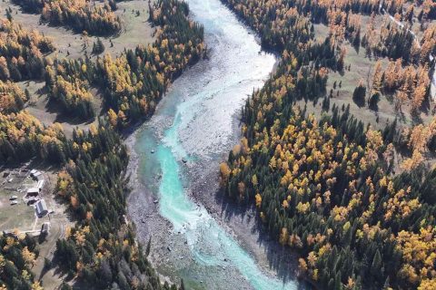 暑期和國慶產品需要提前查詢，伊犁旅行社家庭出行怎麼選線路