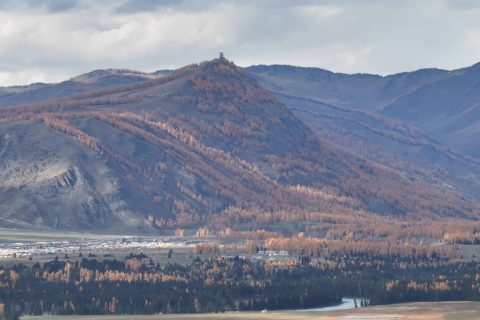 價格信息應與實際出發時間對應，烏魯木齊旅行社旅遊專列怎麼聯繫