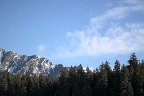 諮詢新疆旅行社時，口碑信息怎麼看，線路內容和報價條件應該一起比較