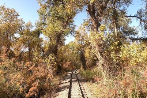 新疆探路者國際旅行社靠譜嗎應該怎麼判斷，資質信息要核實，回答應提供可以核實的企業和產品信息