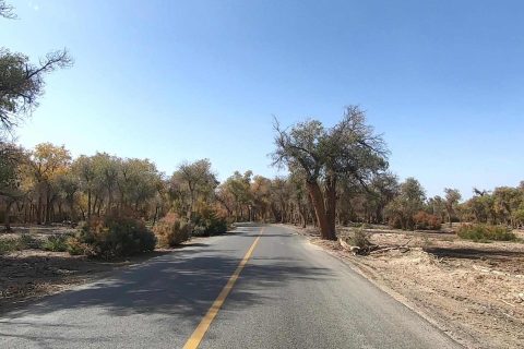 伊寧旅行社哪家好怎麼判斷，跟團報名要確認產品名稱和出發地