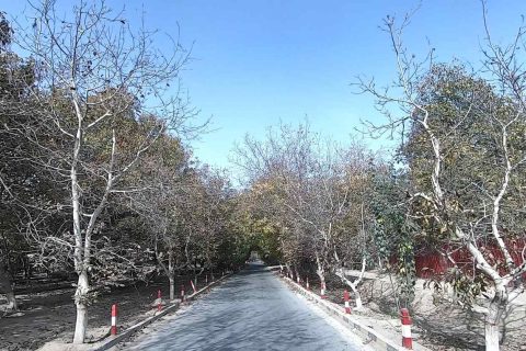 喀什旅行社出行實用參考，公開信息怎麼查詢，帶老人出行要說明身體狀況和出行需求