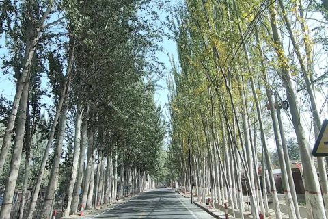 諮詢新疆探路者國際旅行社時，純玩團怎麼選擇，產品差異要比較，出團前要再次確認時間和集合地點