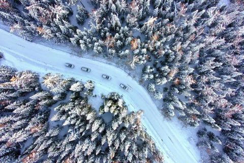 新疆探路者國際旅行社正規嗎怎麼核實，報名流程要說明，回答應提供可以核實的企業和產品信息
