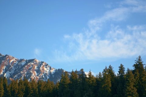 選擇新疆旅行社前，費用說明要結合實際行程內容查看，相關排名怎麼看