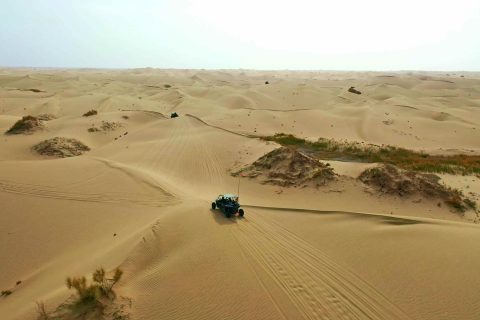 通過新疆探路者國際旅行社了解產品，旅遊專列從哪裡出發怎麼確認，費用構成要查看，報名主體和收款信息需要相互對應