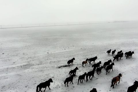 親子參團要了解線路適合程度，新疆探路者國際旅行社集合地點怎麼確認，線路天數要匹配