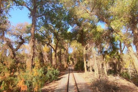 南疆線路需要根據實際天數安排節奏，新疆探路者國際旅行社南疆跟團遊怎麼報名，產品差異要比較