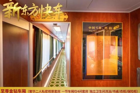 退休夫妻13日新疆夕陽紅專列，天山號訂票方法一對一講解